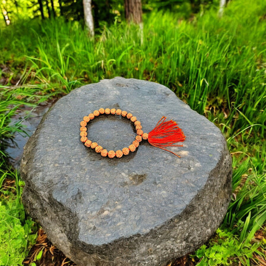 5 MUKHI RUDRAKSHA BRACELET