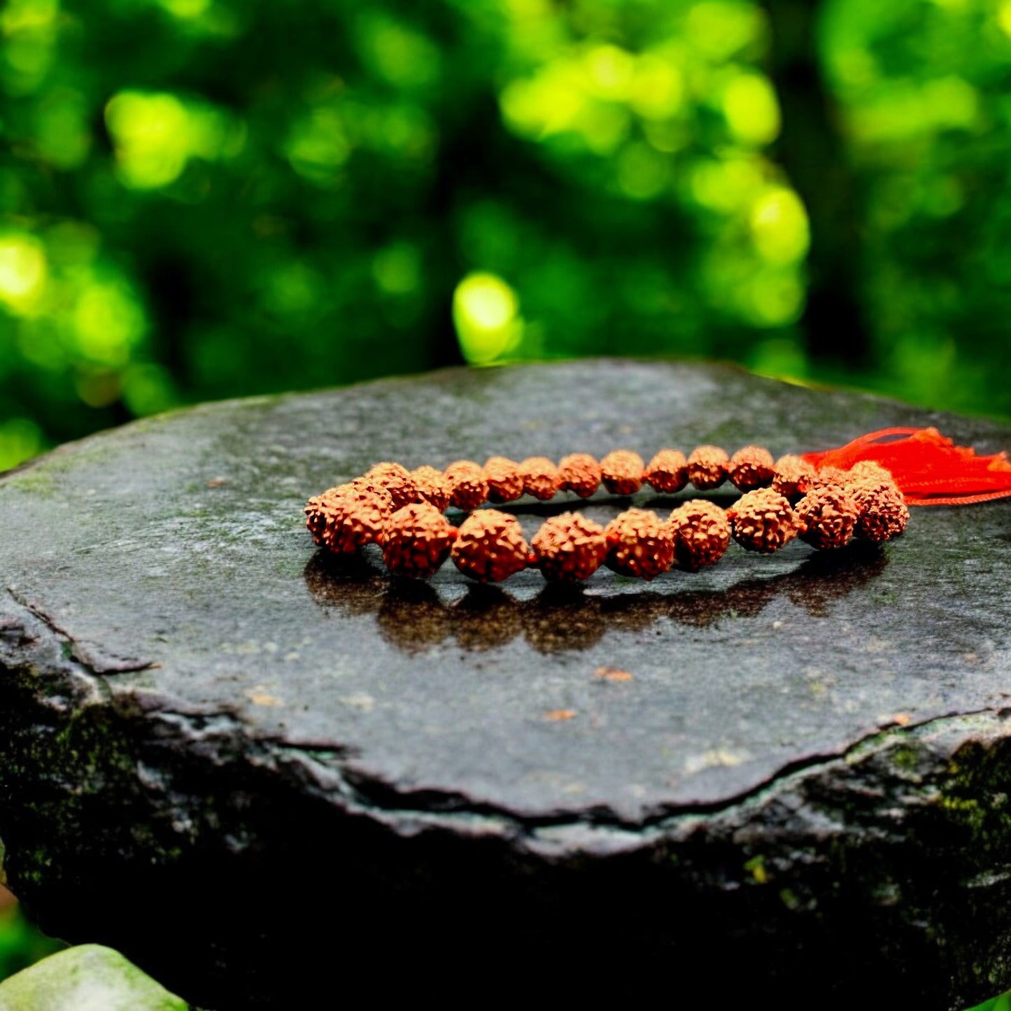 5 MUKHI RUDRAKSHA BRACELET