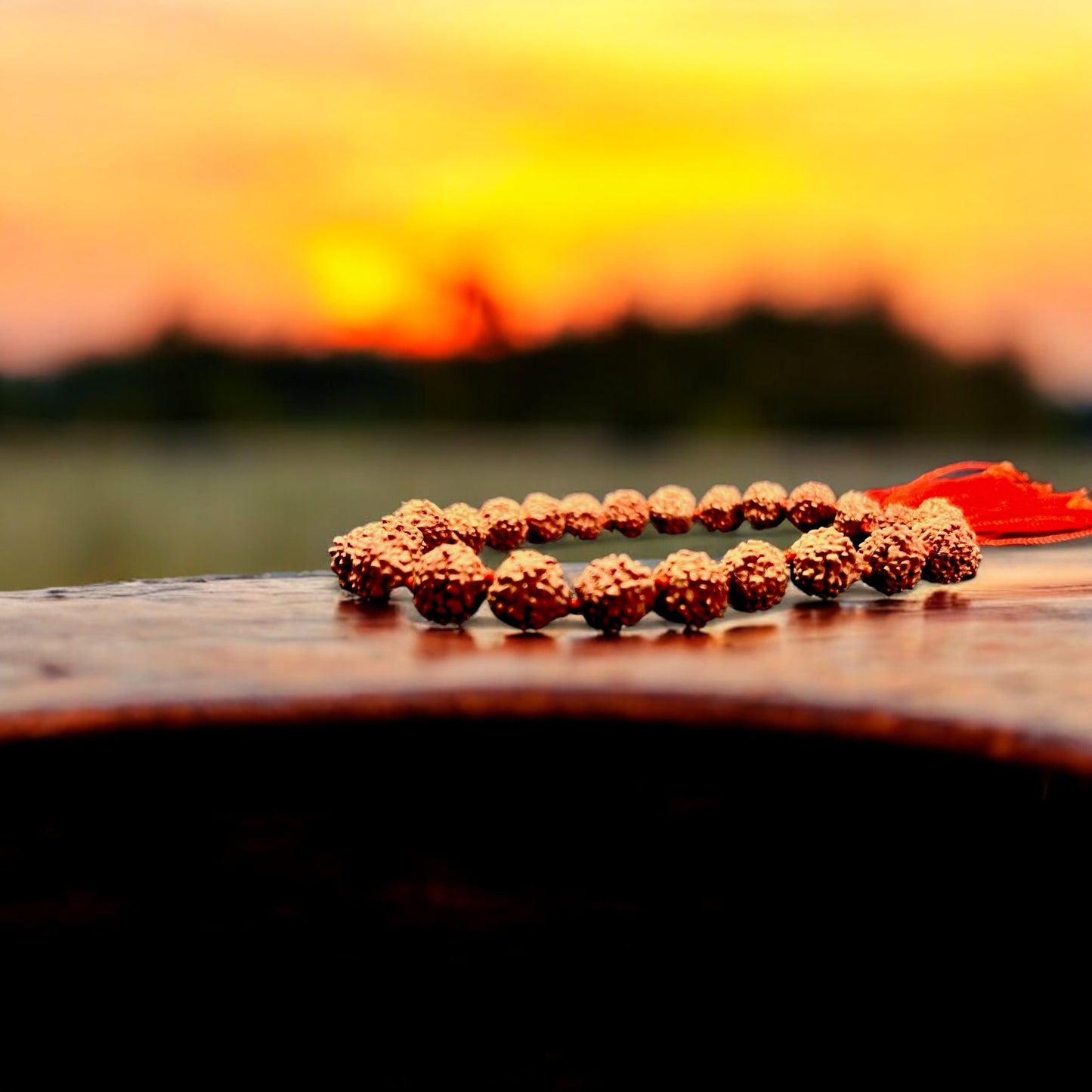 5 MUKHI RUDRAKSHA BRACELET