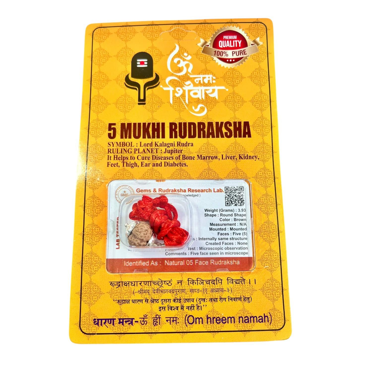 5 Mukhi Rudraksha White Crystal Bracelet